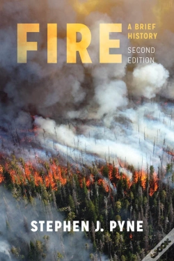 Capa do artigo Fire