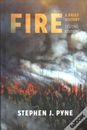 Capa do artigo Fire