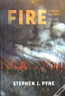 Capa do artigo Fire