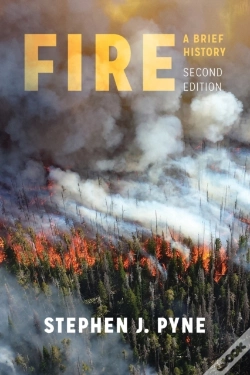 Capa do artigo Fire