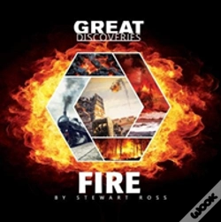Capa do artigo Fire