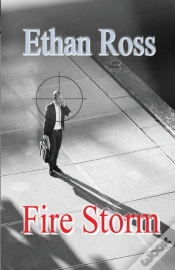 Capa do artigo Fire Storm