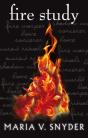 Fire Study - Preview