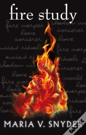 Capa do artigo Fire Study