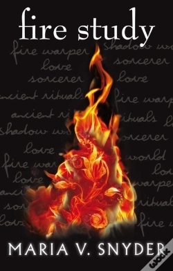 Capa do artigo Fire Study