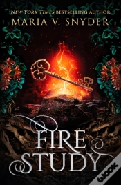 Capa do artigo Fire Study