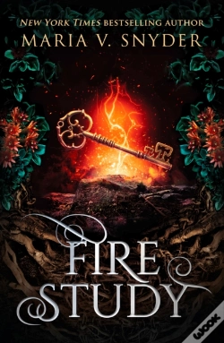 Capa do artigo Fire Study