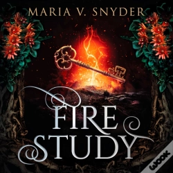 Capa do artigo Fire Study