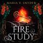 Fire Study - Preview