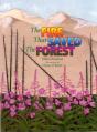 Fire That Saved The Forest - Preview