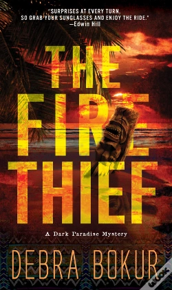 Capa do artigo Fire Thief