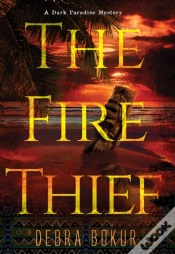 Capa do artigo Fire Thief