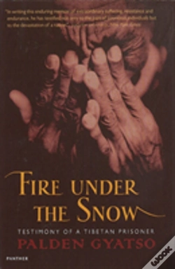 Capa do artigo Fire Under The Snow