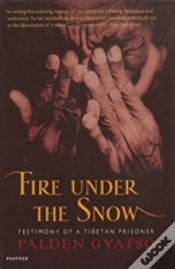 Capa do artigo Fire Under The Snow