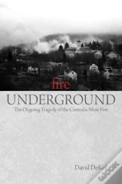 Capa do artigo Fire Underground