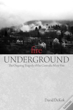 Capa do artigo Fire Underground
