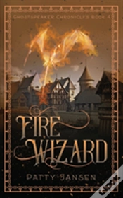 Capa do artigo Fire Wizard