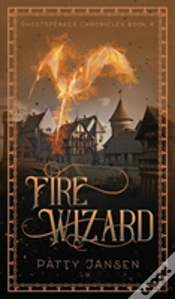 Capa do artigo Fire Wizard