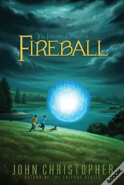 Capa do artigo Fireball