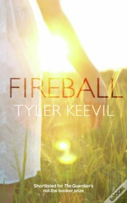 Capa do artigo Fireball