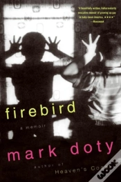 Capa do artigo Firebird
