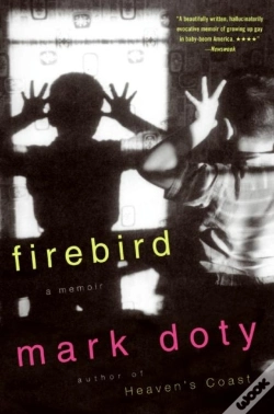 Capa do artigo Firebird