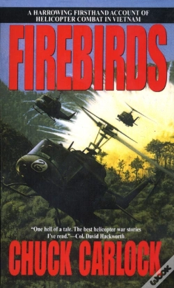 Capa do artigo Firebirds