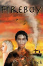 Fireboy - Preview