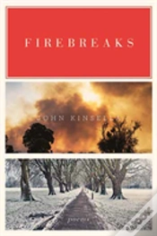 Capa do artigo Firebreaks