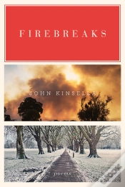 Capa do artigo Firebreaks