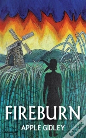 Capa do artigo Fireburn