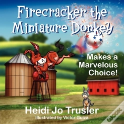 Capa do artigo Firecracker The Miniature Donkey