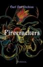 Firecrackers (A Realistic Novel) - Preview
