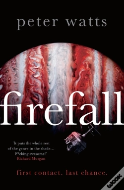 Capa do artigo Firefall