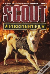 Capa do artigo Firefighter
