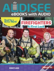 Capa do artigo Firefighters