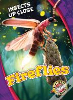 Fireflies