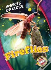 Capa do artigo Fireflies