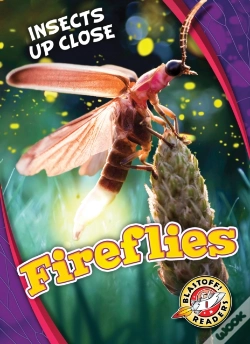 Capa do artigo Fireflies