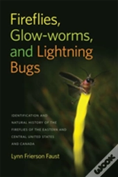 Fireflies, Glow-Worms, And Lightning Bugs