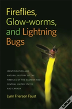 Capa do artigo Fireflies, Glow-Worms, And Lightning Bugs