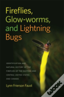 Fireflies, Glow-Worms, And Lightning Bugs