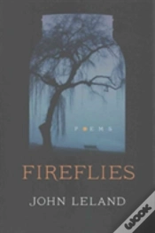 Capa do artigo Fireflies