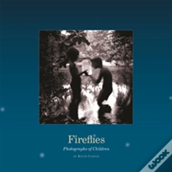 Capa do artigo Fireflies