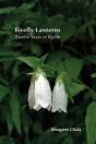 Firefly Lanterns - Preview