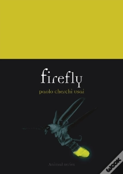 Capa do artigo Firefly