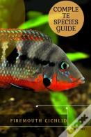 Firemouth Cichlid