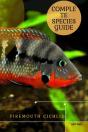 Firemouth Cichlid - Preview