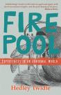 Firepool - Preview