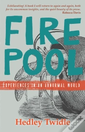 Capa do artigo Firepool